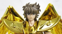 [Myth Cloth EX] Sagittarius Gold Cloth (25 Août 2012) - Page 2 AcgjVHKw