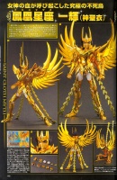 Phoenix Ikki God Cloth Aci2T9co