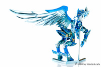 Pegasus Seiya God Cloth ~ 10th Anniversary Edition AciKQAfr