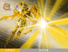 Sagittarius Aiolos Gold Cloth EX AcjfgGt1