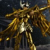 [Myth Cloth EX] Sagittarius Gold Cloth (25 Août 2012) - Page 2 AckBEI3x