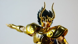  [Luglio 2013] Saint Cloth Myth EX Capricorn Shura - Pagina 9 AclHJEsn