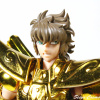 [Myth Cloth EX] Sagittarius Gold Cloth (25 Août 2012) - Page 3 Acn1RC2c