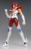 S.H Figuarts Pegasus Koga - Page 3 AcnXnCkl