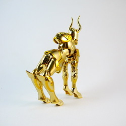 Capricorn Shura Gold Cloth EX Acnddl4x