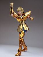 Leo Aiolia Gold Cloth EX Aco6gNy2