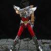 Pegasus Seiya New Bronze Cloth - Page 2 Acs9SlEH