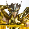 [Myth Cloth EX] Sagittarius Gold Cloth (25 Août 2012) - Page 2 AcsenKjv