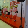 阿波舞 Kanasi Fair AcspQLdx