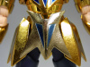 Cancer Dethmask Gold Cloth EX ActgEhBr