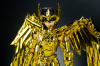 Sagittarius Seiya Gold Cloth Acu2Zu00