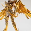 Sagittarius Aiolos Gold Cloth EX - Page 2 AcuPso8v