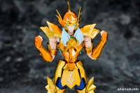 Pisces Aphrodite Gold Cloth EX AcucKrae