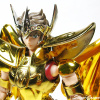 [Myth Cloth EX] Sagittarius Gold Cloth (25 Août 2012) - Page 3 AcvBSwGY