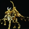 Sagittarius Aiolos Gold Cloth EX - Page 2 Acwx30La