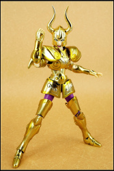 Capricorn Shura Gold Cloth EX AcxiyUMc