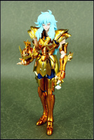 Pisces Aphrodite Gold Cloth EX AcycfVoS