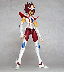 S.H Figuarts Pegasus Koga - Page 2 AdchZJBw