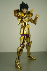 Capricorn Shura Gold Cloth EX Addcpytd