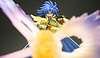 Gemini Saga Gold Cloth EX AddiQMRk