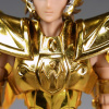 [Myth Cloth EX] Sagittarius Gold Cloth (25 Août 2012) - Page 2 AdeDDnRo