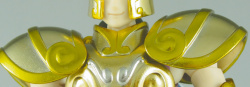  [Luglio 2013] Saint Cloth Myth EX Capricorn Shura - Pagina 11 AdePPSBR