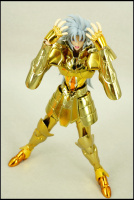 Gemini Kanon Gold Cloth Adg3Plgg