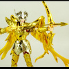 [Myth Cloth EX] Sagittarius Gold Cloth (25 Août 2012) - Page 2 AdgrOrL3