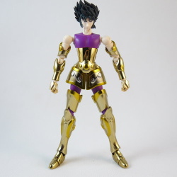 Capricorn Shura Gold Cloth EX AdgtuKZg