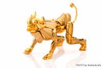 Myth Cloth EX du Lion ~ OCE (Novembre 2013= - Page 3 AdhASY3D