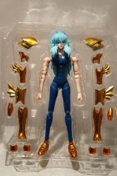 Pisces Aphrodite Gold Cloth EX Adi239RW