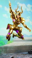 Capricorn Shura Gold Cloth EX AdiXHJn6