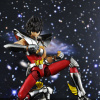 Pegasus Seiya New Bronze Cloth - Page 2 AdmLAK4Q