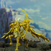 Sagittarius Aiolos Gold Cloth EX - Page 3 AdoTZpbU