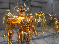 Myth Cloth EX ANTEPRIMA (12 GOLD) - Pagina 8 Adqo8x4e