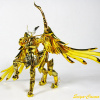 [Myth Cloth EX] Sagittarius Gold Cloth (25 Août 2012) - Page 3 AdtQKHPq