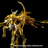 Sagittarius Aiolos Gold Cloth EX - Page 2 Adv77f9E