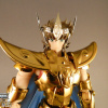 Sagittarius Aiolos Gold Cloth EX - Page 2 AdvqVdir