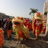 香港龍獅節 Hong Kong Lion Dragon Festival AdwxETTQ