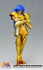 Gemini Saga Gold Cloth EX AdwxerMB