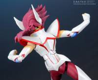 S.H Figuarts Pegasus Koga - Page 3 AdyFTWvh