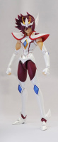 S.H Figuarts Pegasus Koga - Page 3 AdykursK