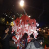 Lantern Carnivals 2014-02-16 HvsOZbR4