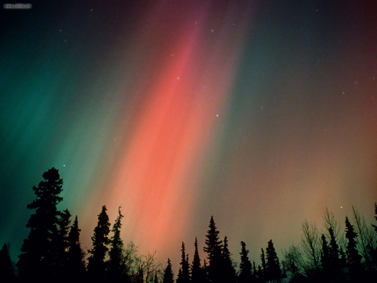 طبيعيات  وجمالها - صفحة 9 Aurora_Borealis_Northern_Lights_Alaska