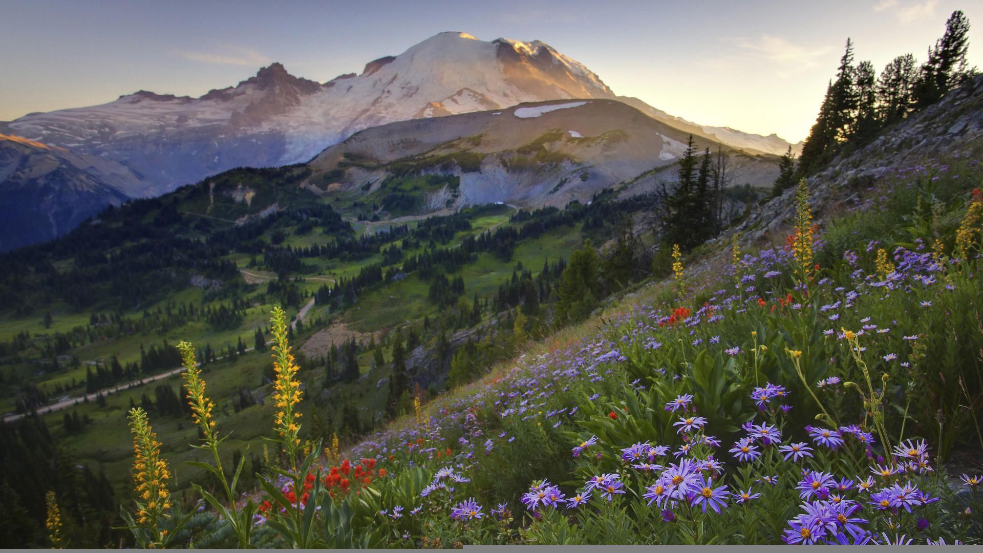 Szarvas hágó - Virágvölgy Sourdough_Trail_Sunset_Flowers_Mount_Rainier_Washington