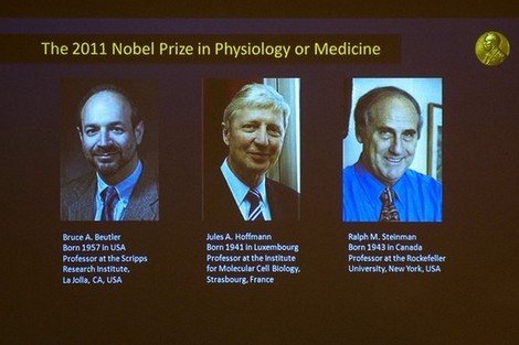 جائزة نوبل للطب تذهب لثلاثة علماء لأبحاثهم حول المناعة Nobelprizenew_385124878