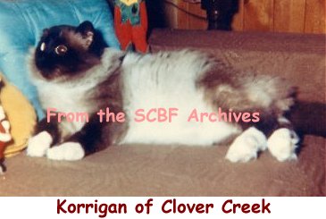 Demande Korrigan%20of%20clover%20creek%201er%20US