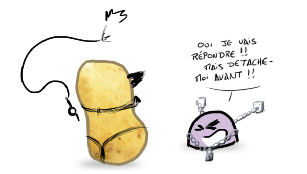 Pourquoi Patate ? - Page 20 0228_01