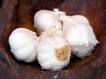 வீட்டில் எறும்பு தொல்லை தாங்கலையா? 20-1400581439-8-garlic2