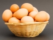 முட்டை சாப்பிட்டால் கிடைக்கும் நன்மைகள்! 17-1405572642-11-egg